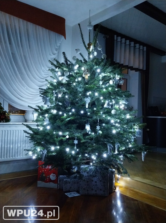 Pułtuskie choinki 2025