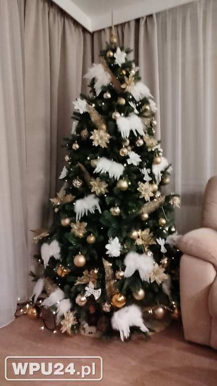 Pułtuskie choinki 2025