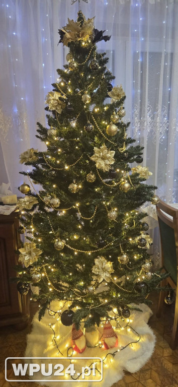 Pułtuskie choinki 2025