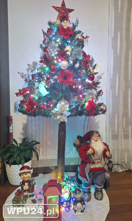 Pułtuskie choinki 2025