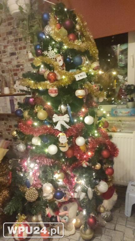 Pułtuskie choinki 2025