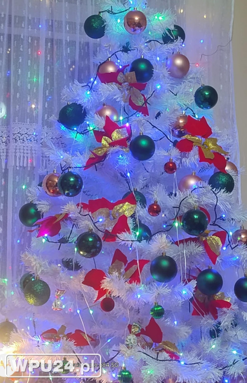 Pułtuskie choinki 2025