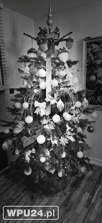 Pułtuskie choinki 2025
