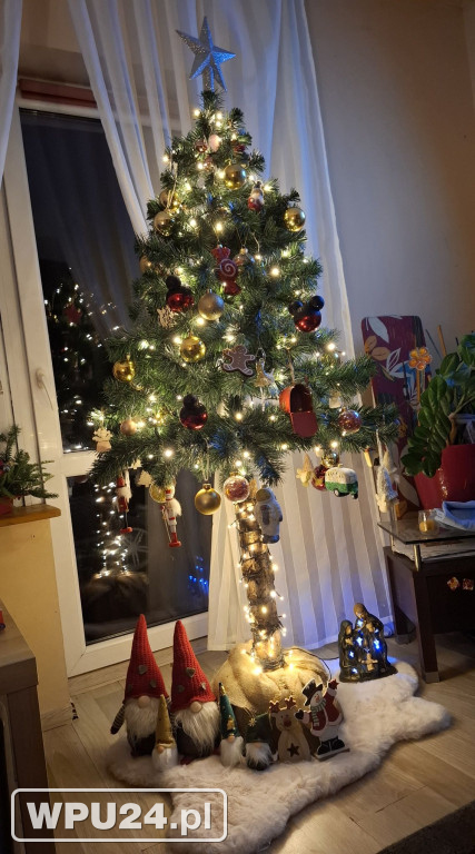 Pułtuskie choinki 2025