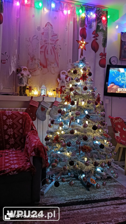 Pułtuskie choinki 2025