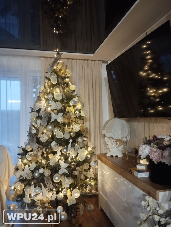 Pułtuskie choinki 2025