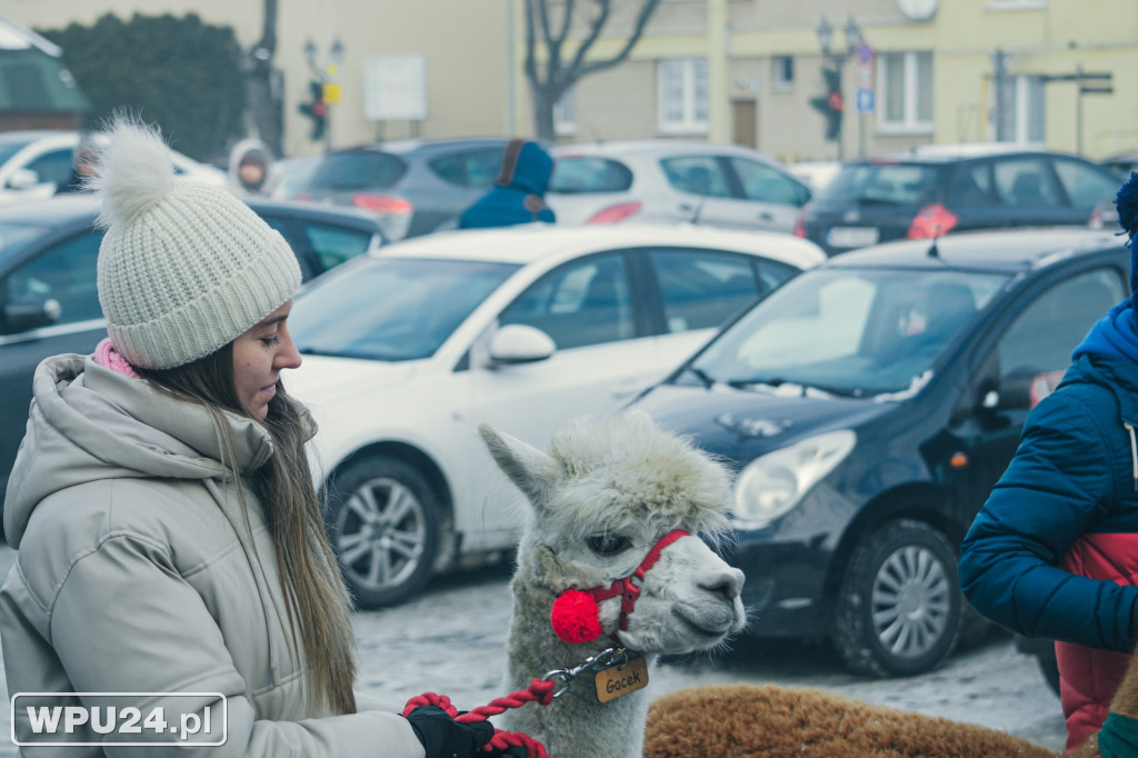 Tak świętowano Trzech Króli w Pułtusku