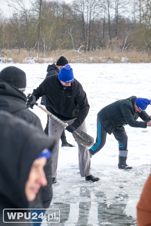Tak morsy z Pułtuska witają prawdziwą zimę