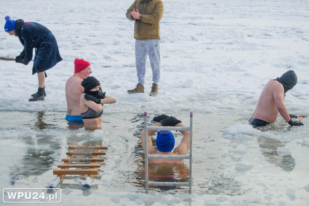 Tak morsy z Pułtuska witają prawdziwą zimę