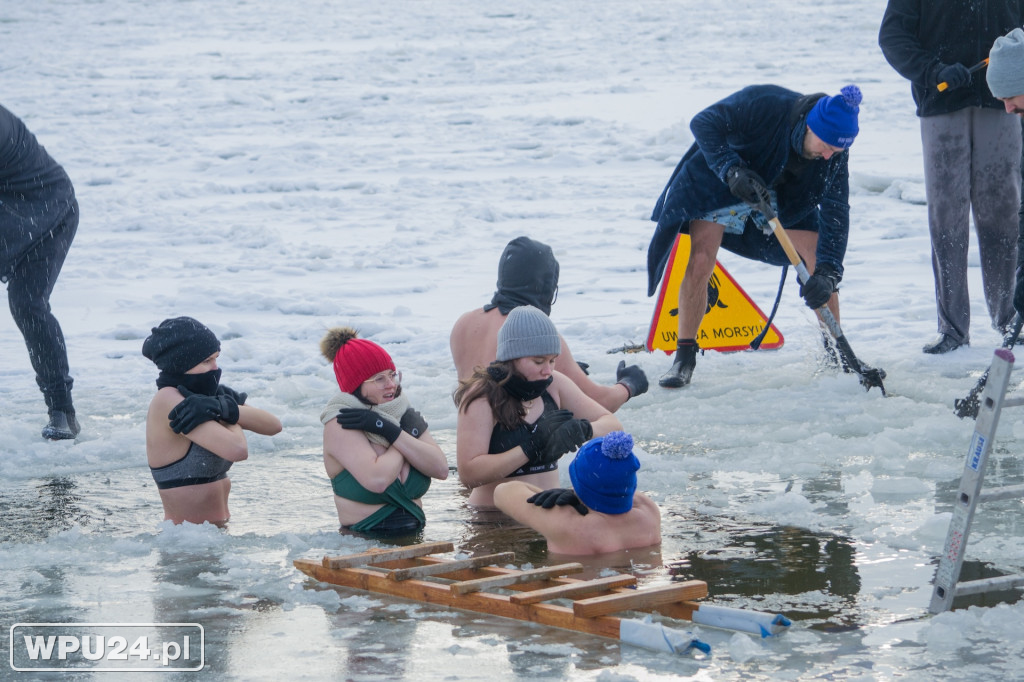 Tak morsy z Pułtuska witają prawdziwą zimę