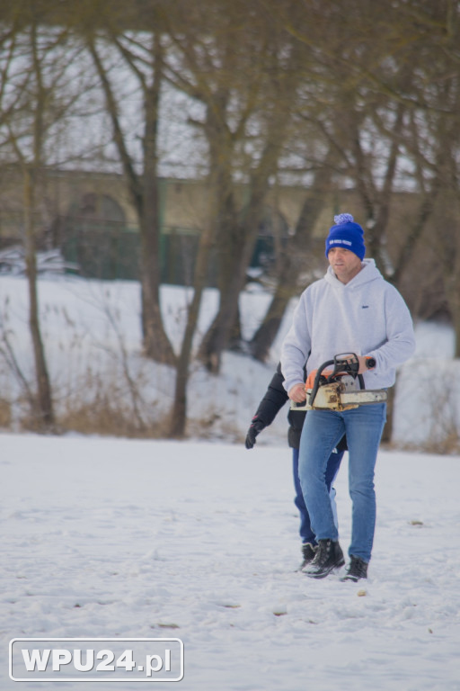Tak morsy z Pułtuska witają prawdziwą zimę