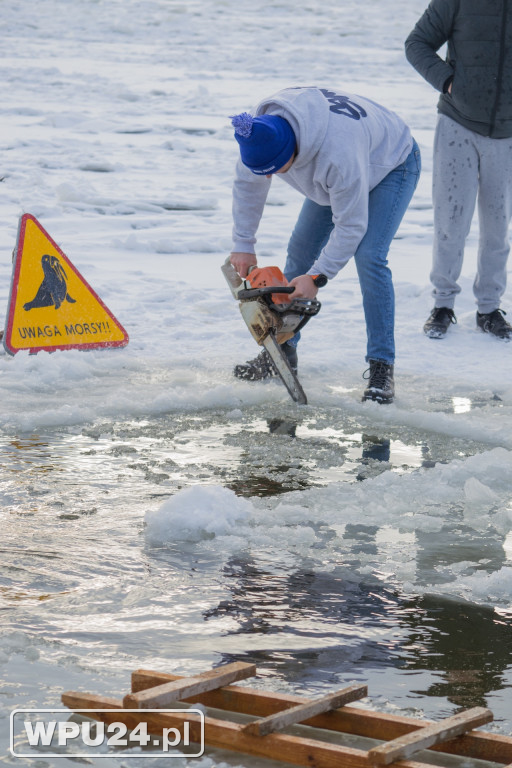 Tak morsy z Pułtuska witają prawdziwą zimę