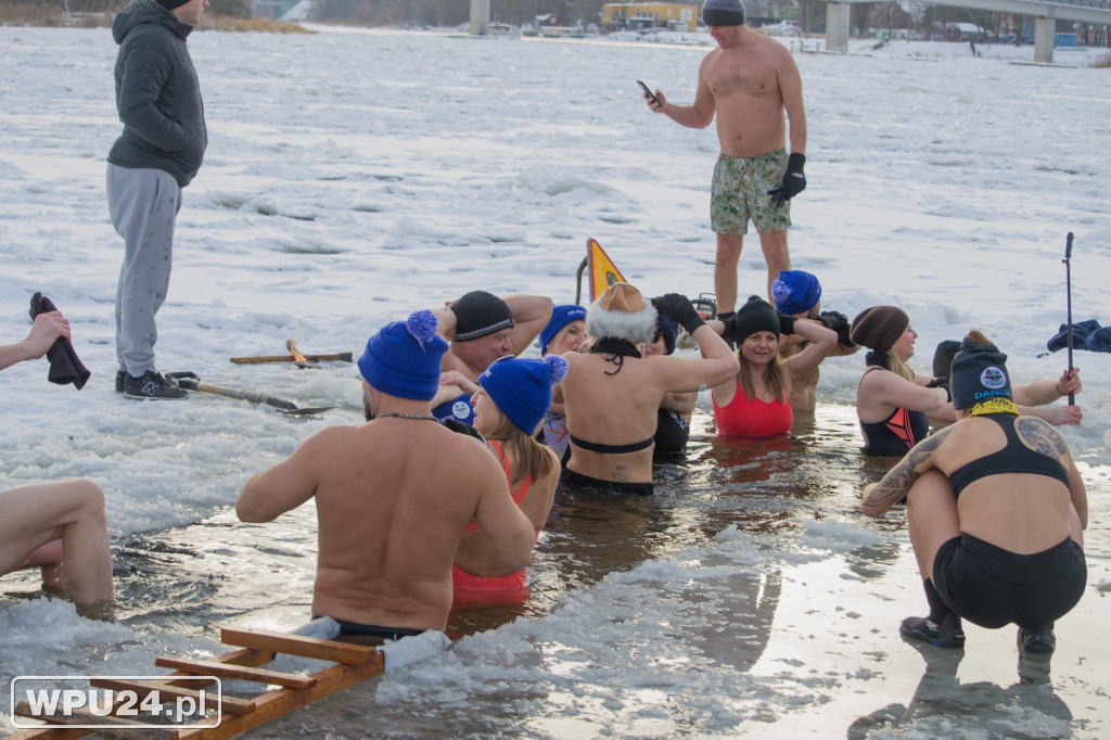 Tak morsy z Pułtuska witają prawdziwą zimę