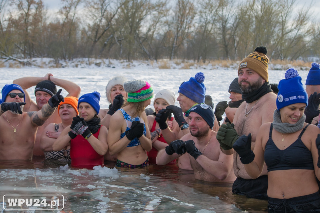 Tak morsy z Pułtuska witają prawdziwą zimę