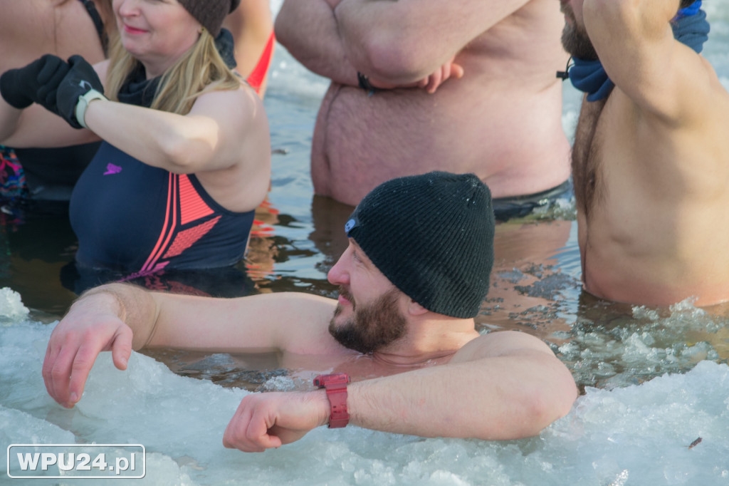 Tak morsy z Pułtuska witają prawdziwą zimę