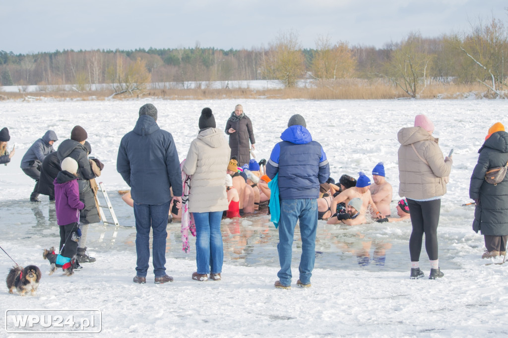 Tak morsy z Pułtuska witają prawdziwą zimę