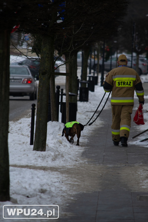 WOŚP w Pułtusku: pełen koncertów i licytacji