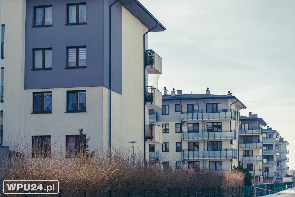 Spacer po Pułtusku potrafi zaskoczyć