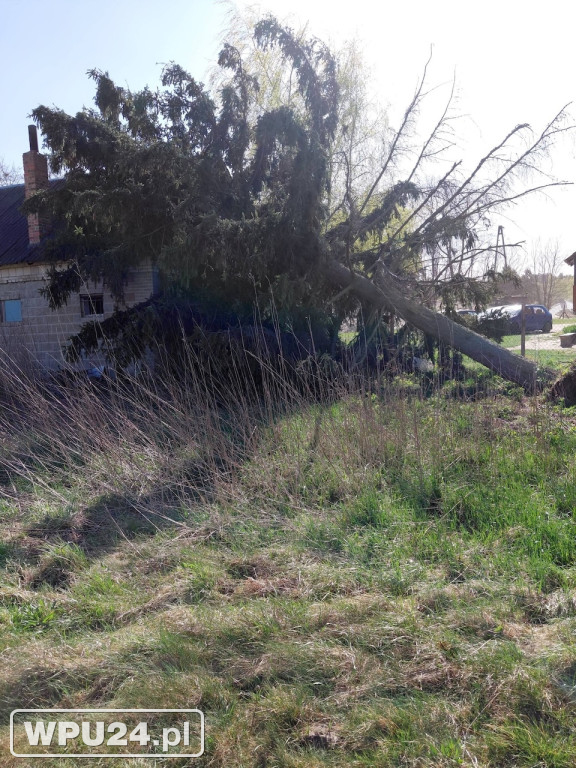 Niedziela pułtuskich strażaków