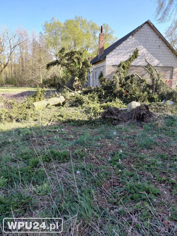 Niedziela pułtuskich strażaków