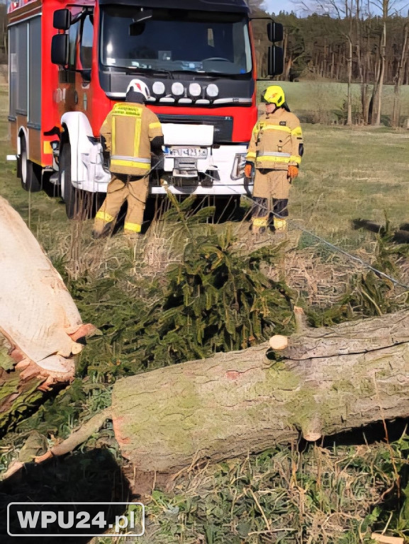 Niedziela pułtuskich strażaków