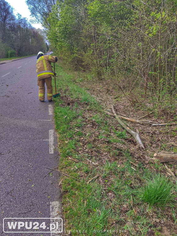 Niedziela pułtuskich strażaków