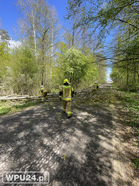 Niedziela pułtuskich strażaków