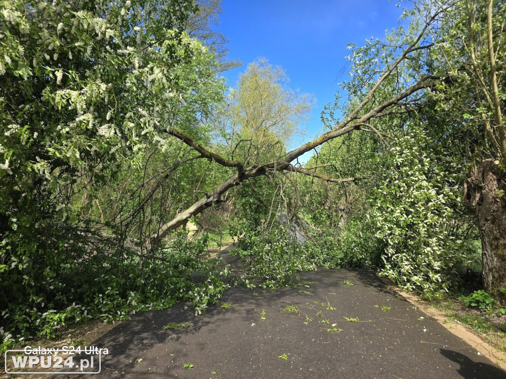Niedziela pułtuskich strażaków