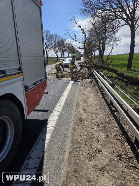 Niedziela pułtuskich strażaków