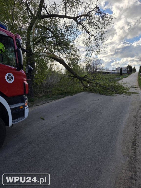 Niedziela pułtuskich strażaków