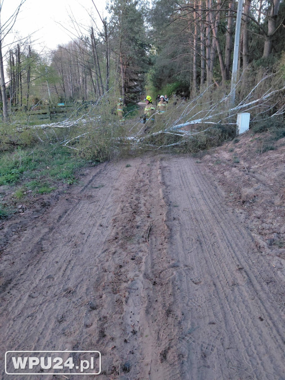 Niedziela pułtuskich strażaków