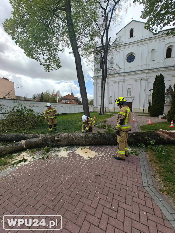 Niedziela pułtuskich strażaków