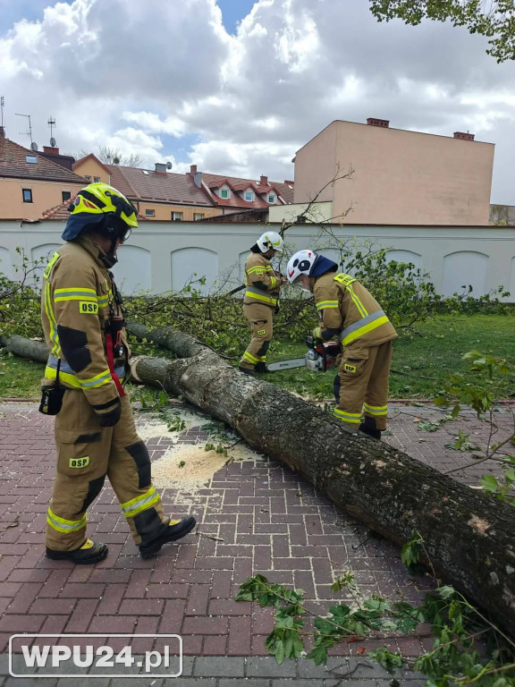 Niedziela pułtuskich strażaków