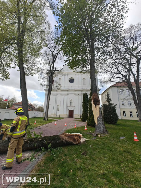 Niedziela pułtuskich strażaków