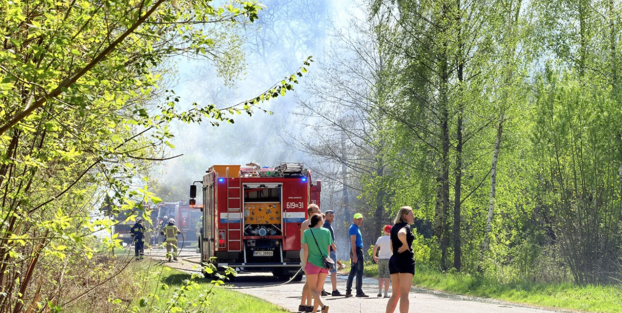 Ogień przy lesie. Strażacy walczyli w Dzbanicach