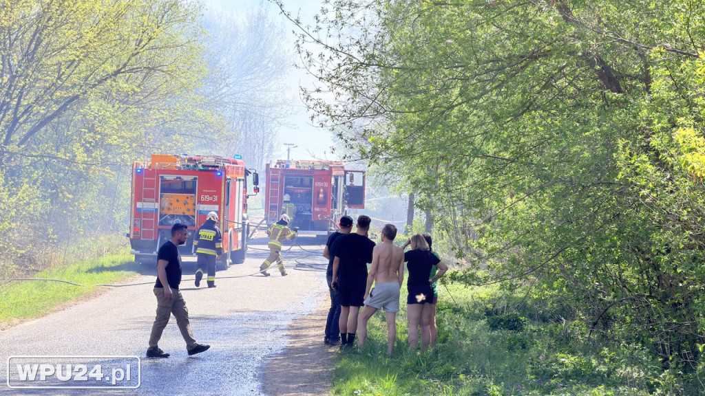 Ogień przy lesie. Strażacy walczyli w Dzbanicach