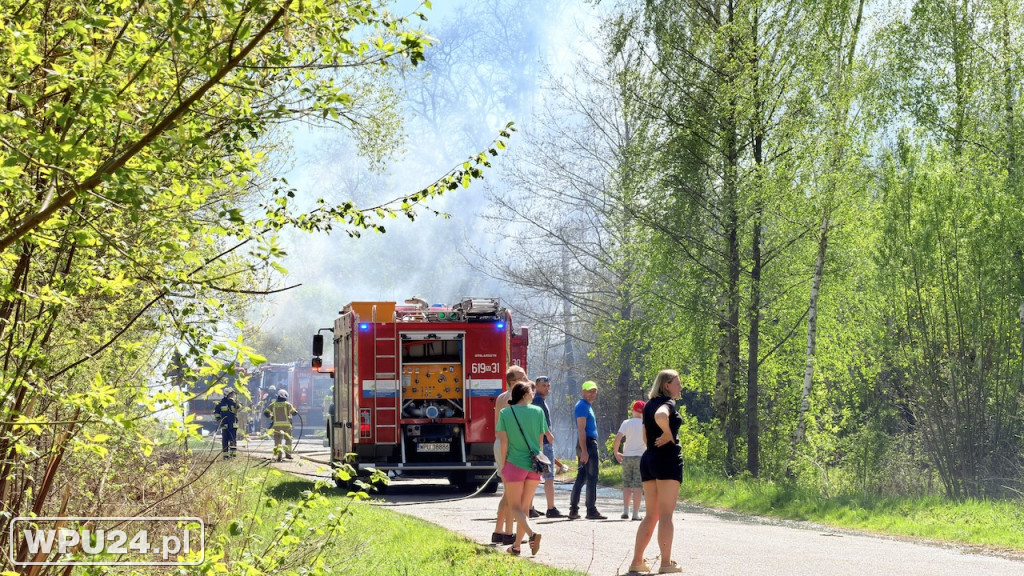 Ogień przy lesie. Strażacy walczyli w Dzbanicach