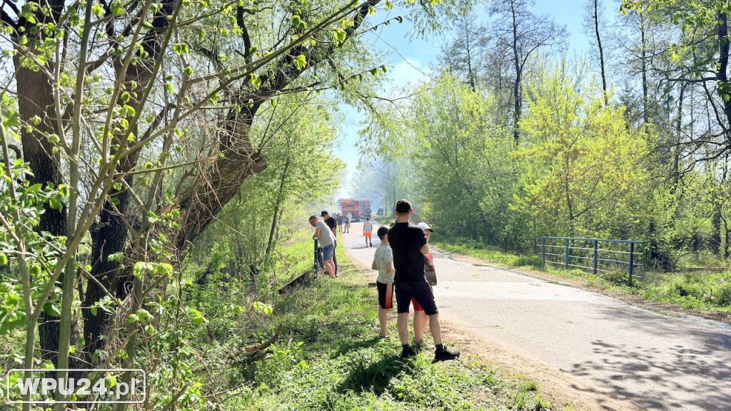 Ogień przy lesie. Strażacy walczyli w Dzbanicach