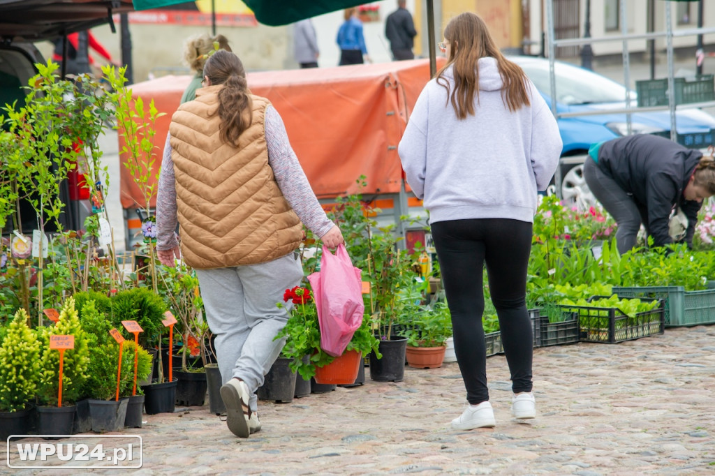 Festiwal Roślin
