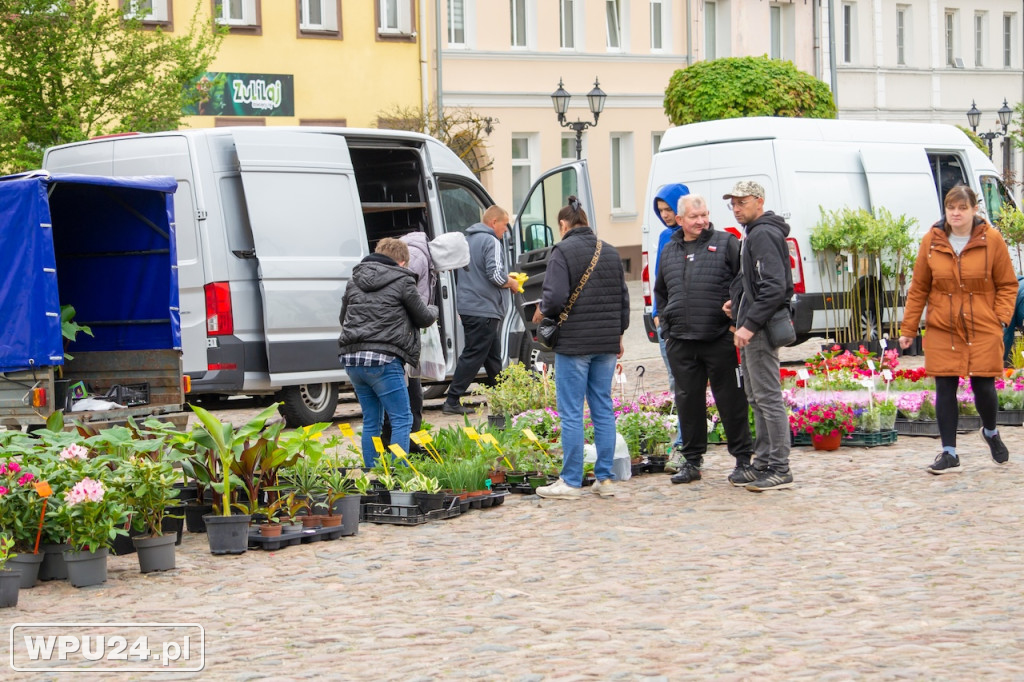 Festiwal Roślin