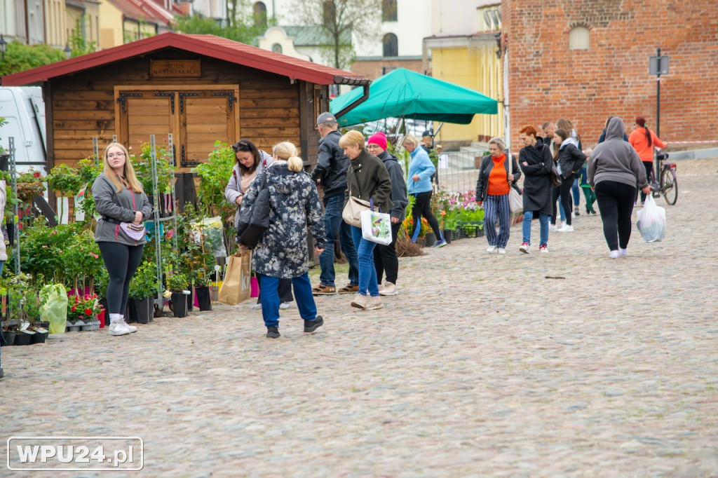 Festiwal Roślin