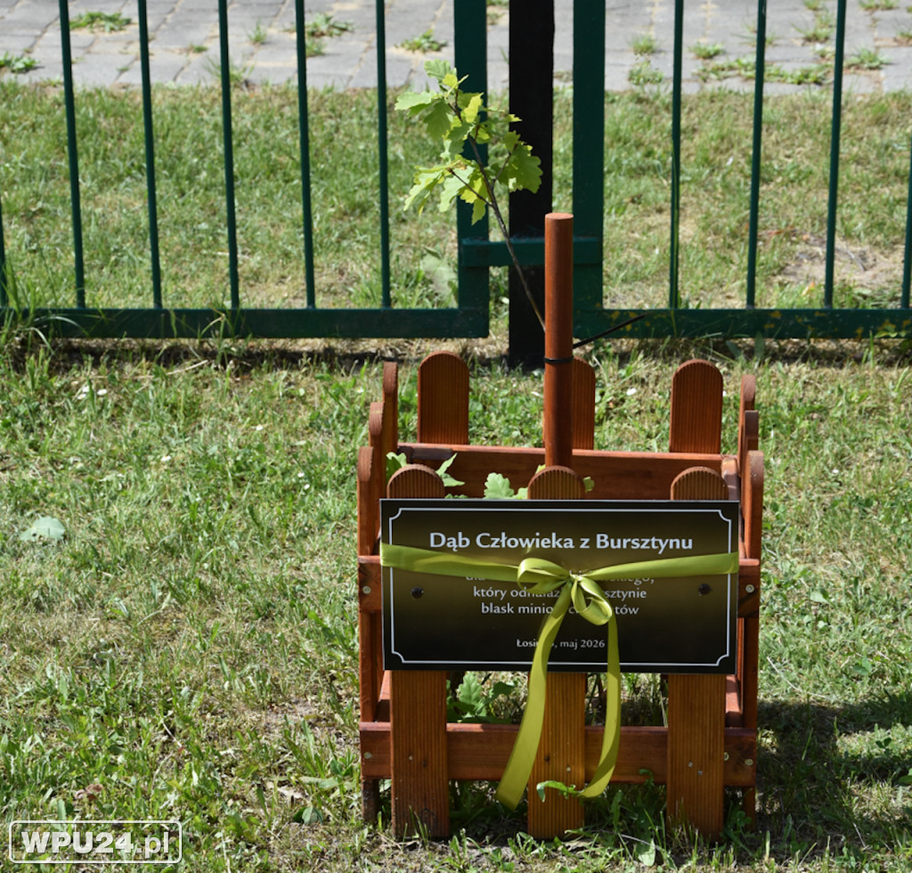 Bursztyn na Kurpiach. Wielkie święto tradycji