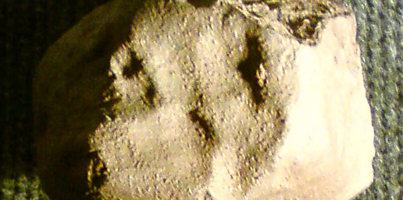 Meteoryt pułtuski, Wikipedia