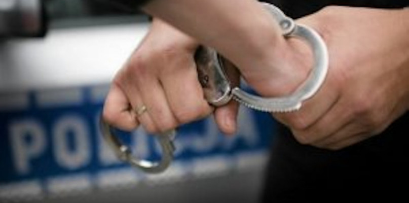 Mieszkaniec powiatu pułtuskiego usłyszał zarzut i trafił pod dozór policji.