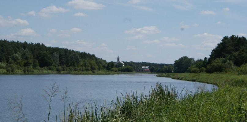 Narew koło Pułtuska