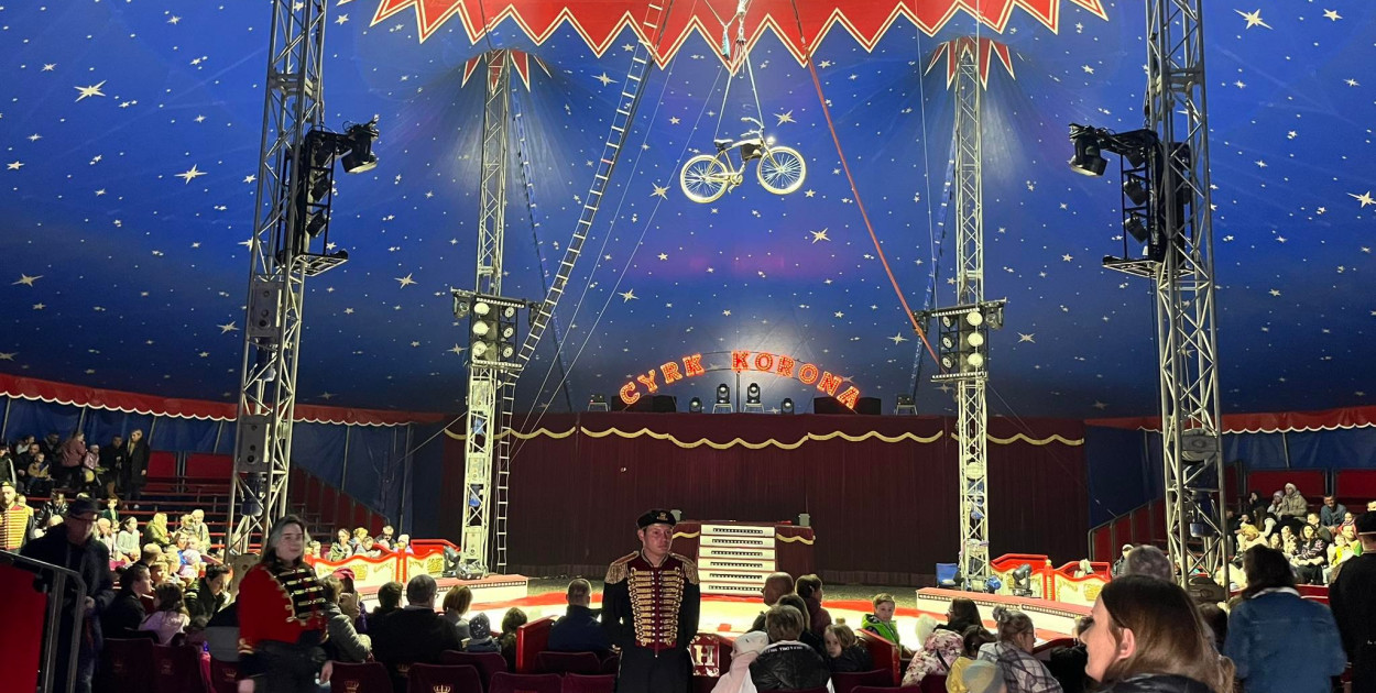 "Gorący" fotoreportaż z Cyrku Korona