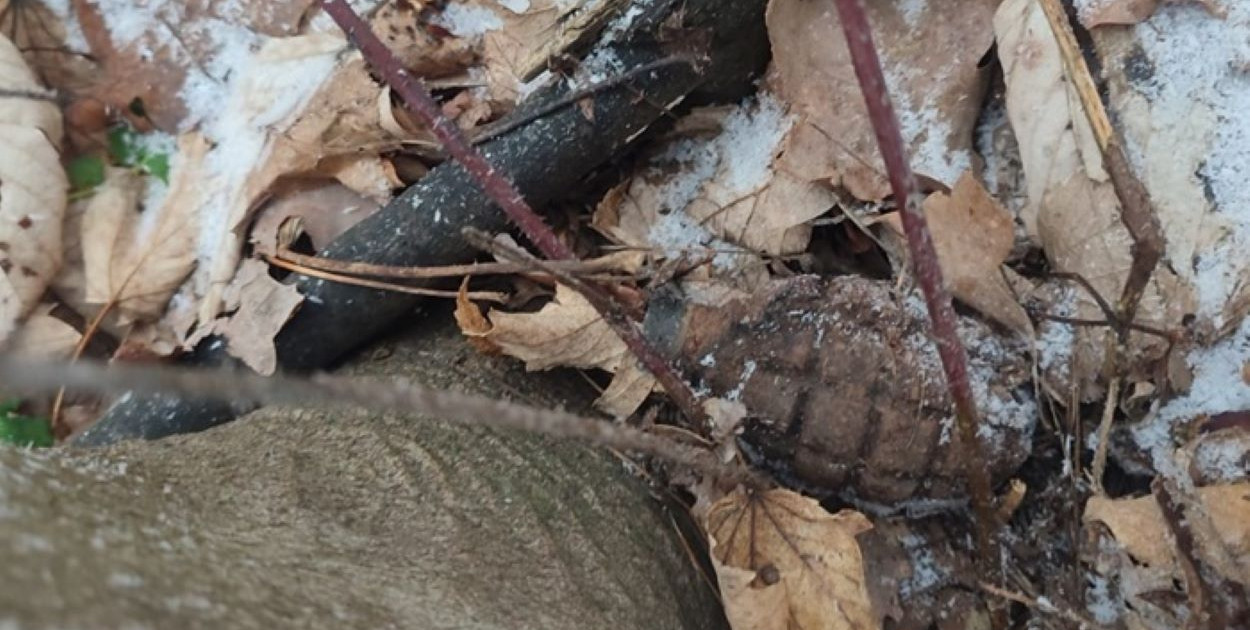 Niezwykłe znalezisko w podpułtuskim lesie