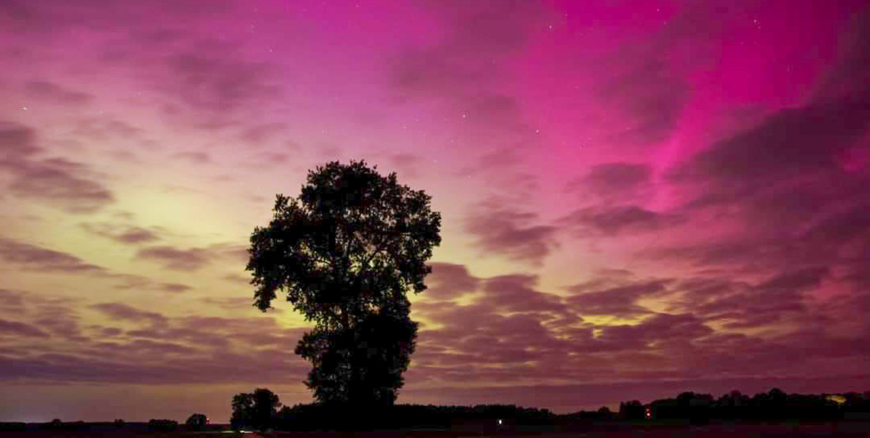 Zdjęcie Adama Sielskiego