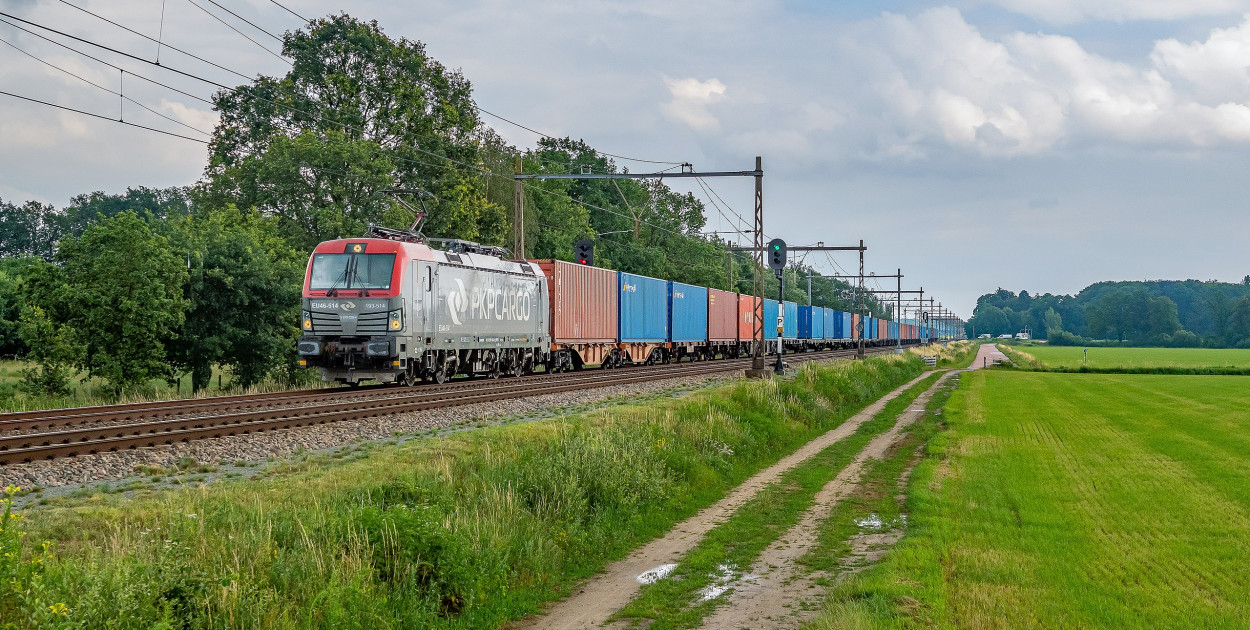 Fot. Rob Dammers, CC BY 2.0, via Wikimedia Commons