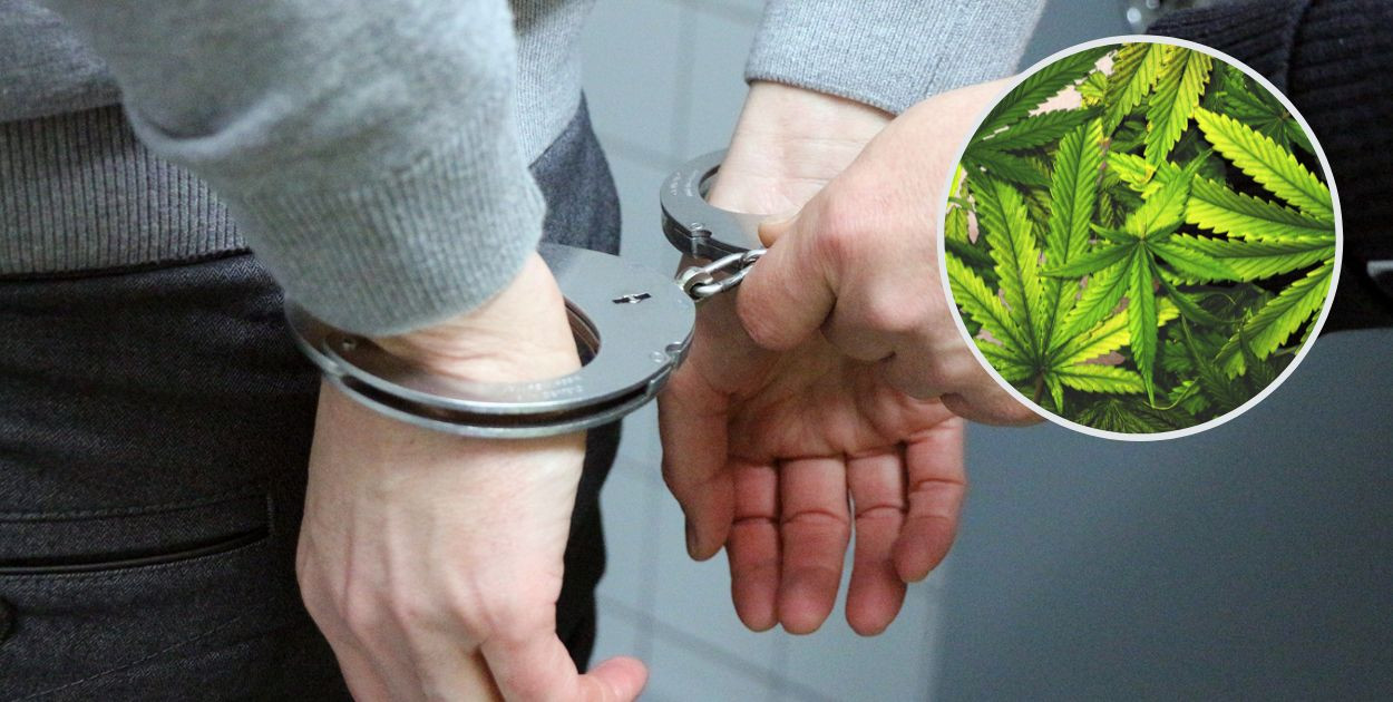 Hodował... marihuanę w Budach Ciepielińskich